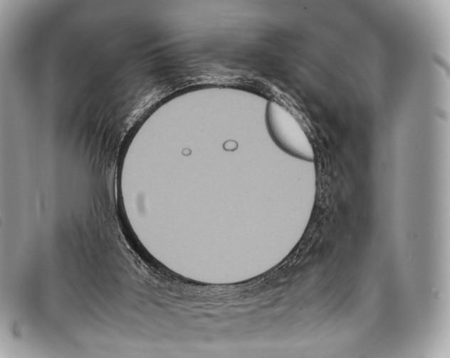 X0000097840011200804111115