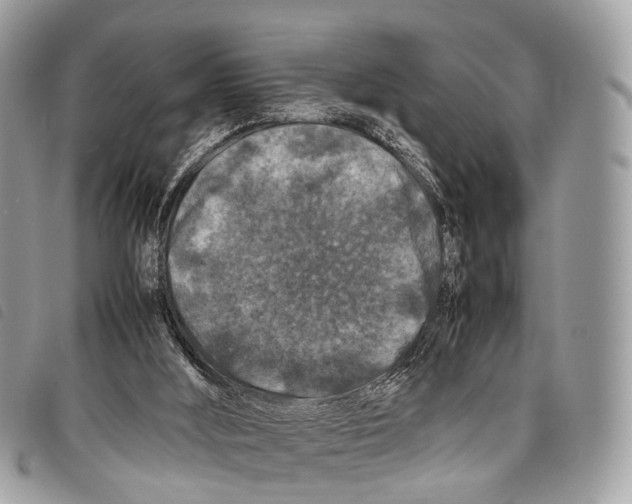 X0000097840012200804111115