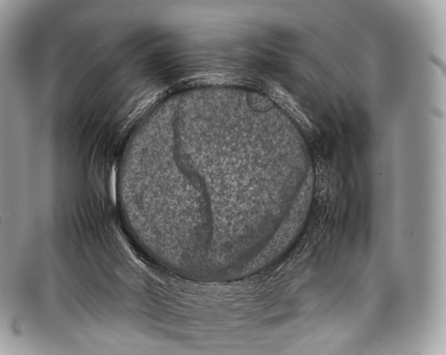X0000097840014200804111115