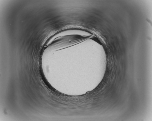 X0000097840015200804111115
