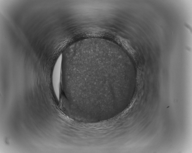 X0000097840017200804111115