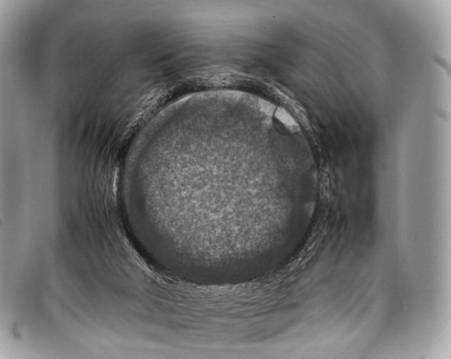 X0000097840018200804111115