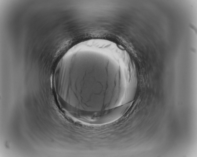 X0000097840019200804111115