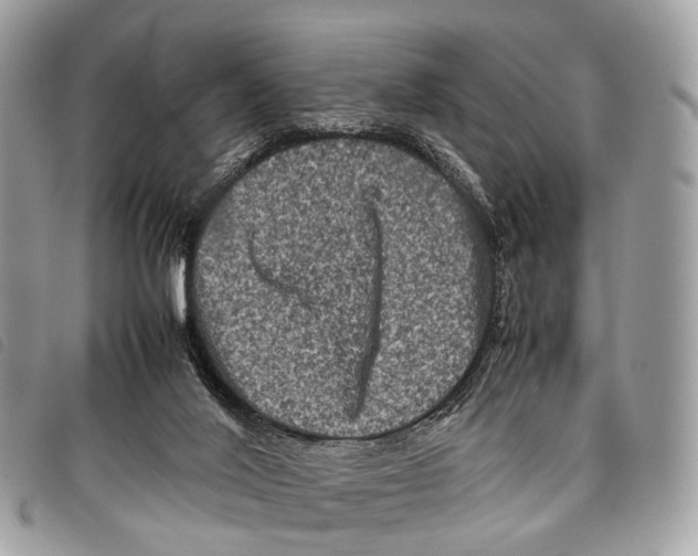 X0000097840020200804111115
