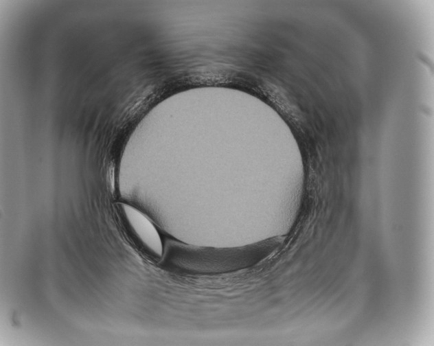 X0000097840021200804111115