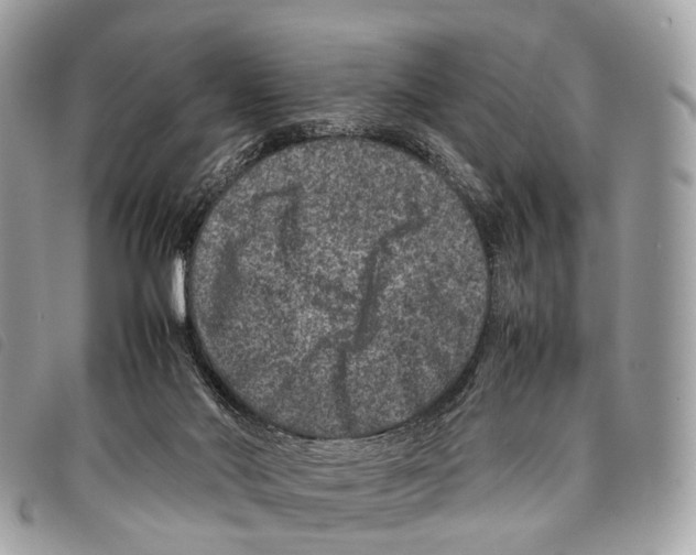 X0000097840022200804111115