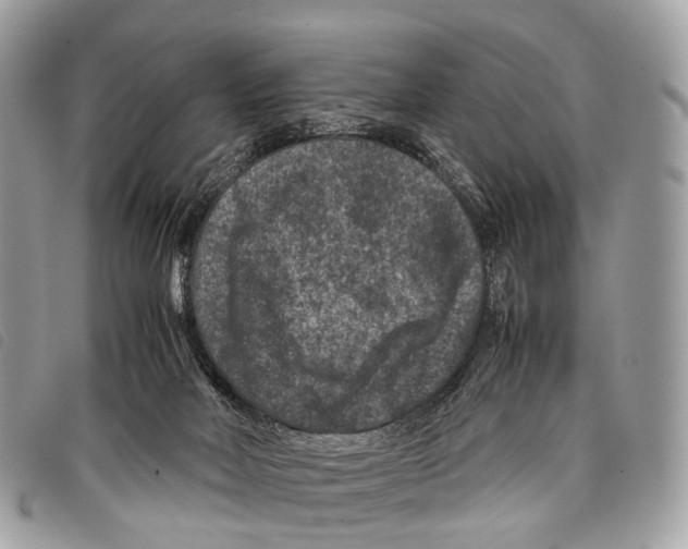 X0000097840026200804111115