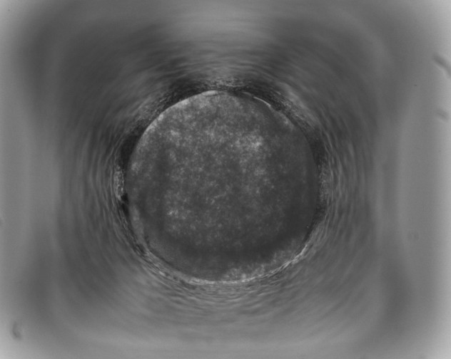 X0000097840029200804111115