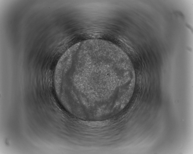 X0000097840030200804111115