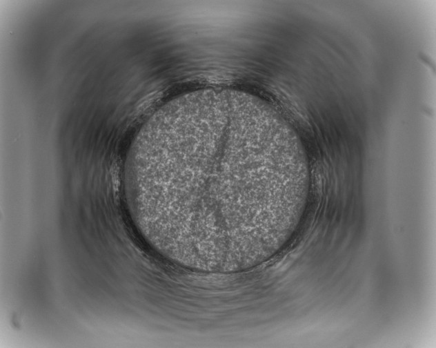 X0000097840032200804111115