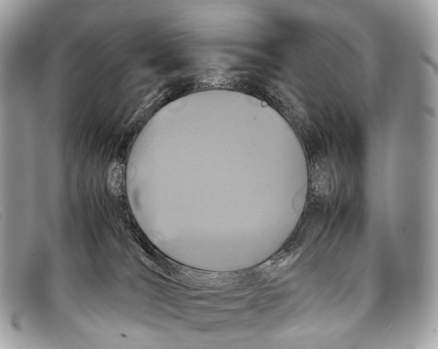 X0000097840036200804111115