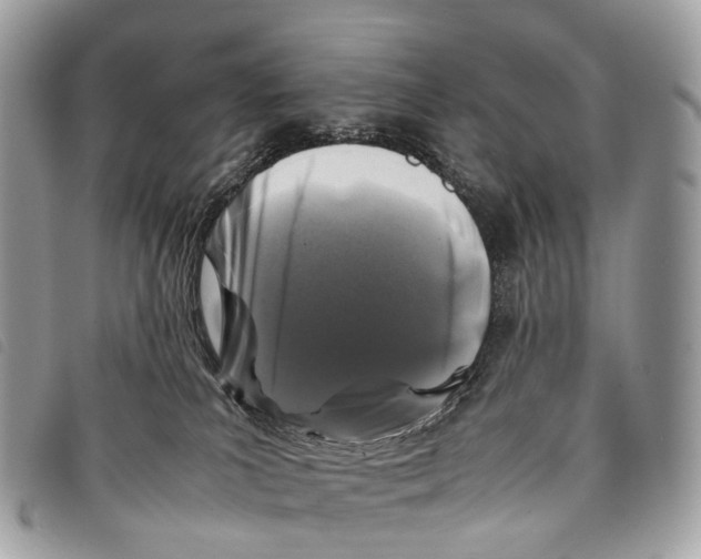 X0000097840039200804111115