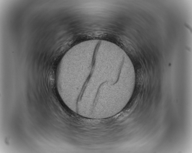 X0000097840040200804111115