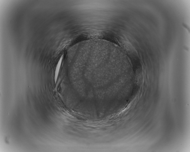 X0000097840041200804111115