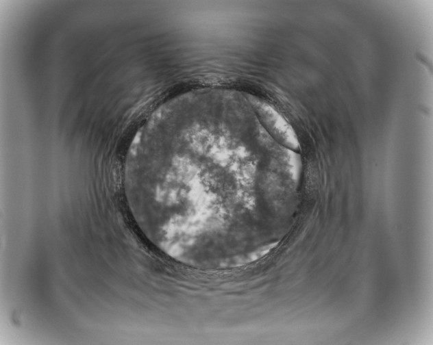 X0000097840043200804111115