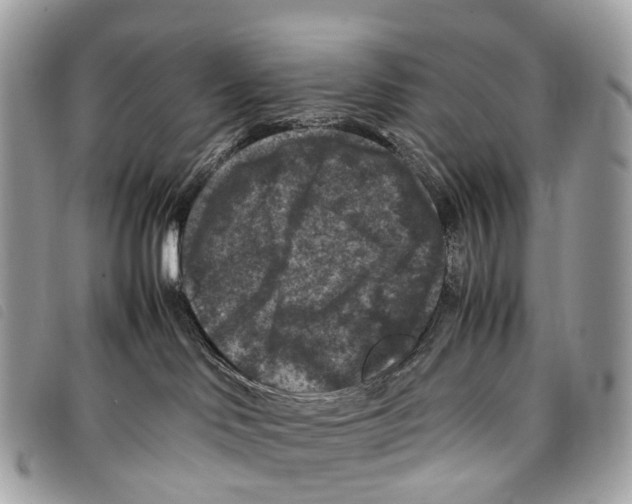 X0000097840046200804111115