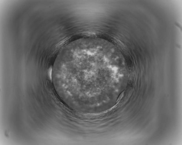 X0000097840047200804111115