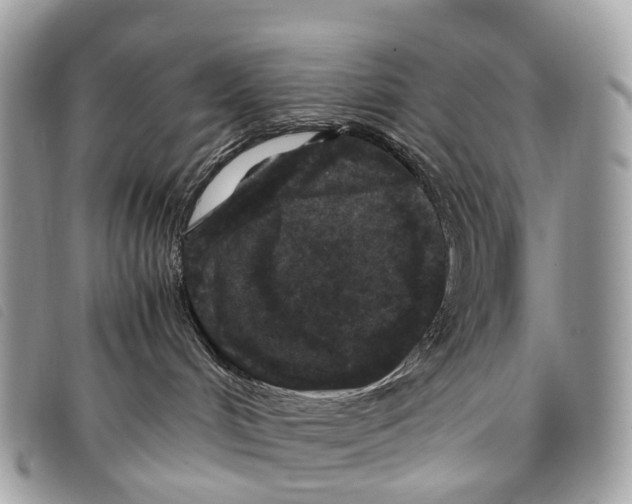 X0000097840048200804111115