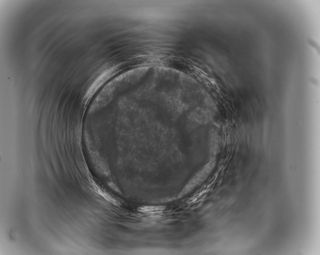 X0000097840051200804111114