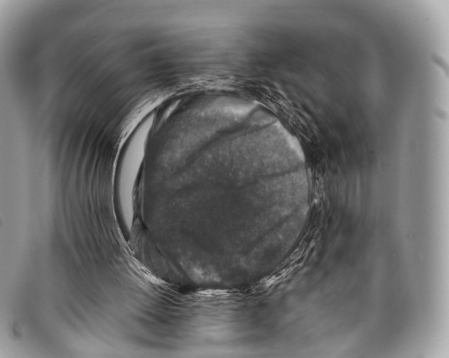 X0000097840052200804111114