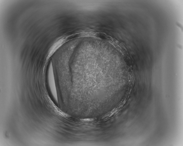 X0000097840053200804111114