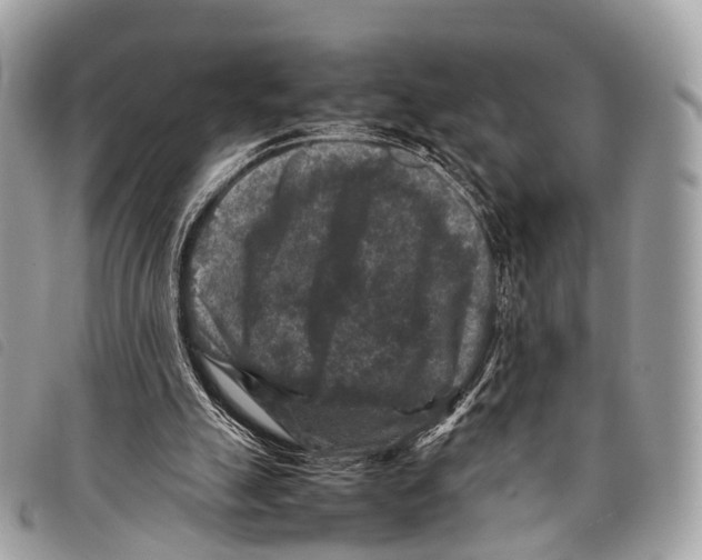 X0000097840055200804111114
