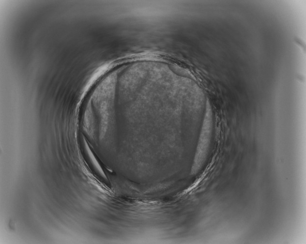 X0000097840056200804111114