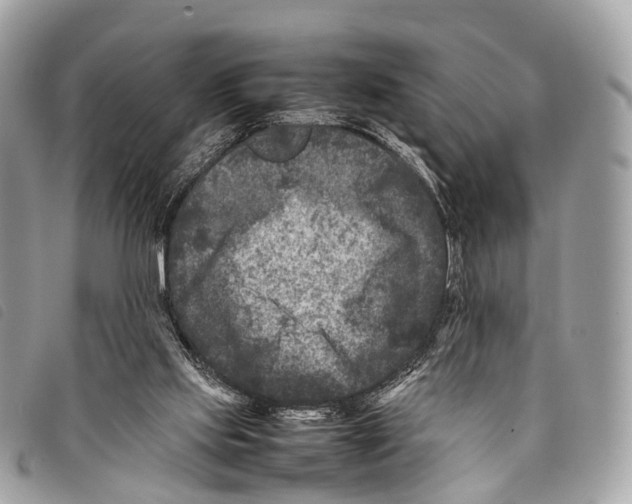 X0000097840061200804111114