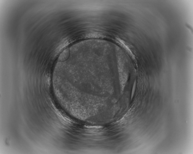 X0000097840063200804111114