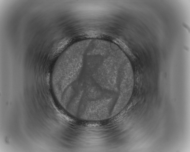 X0000097840066200804111114