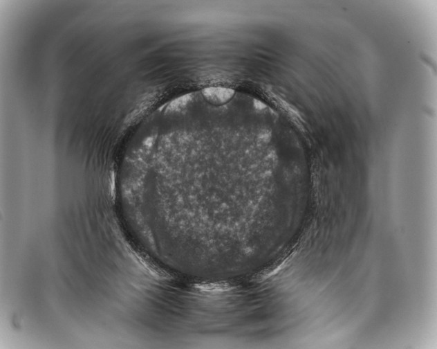 X0000097840067200804111114