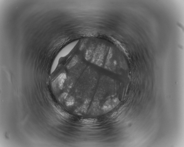 X0000097840069200804111114