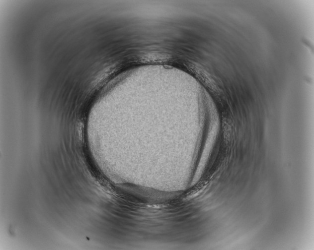 X0000097840071200804111114