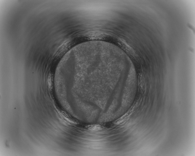 X0000097840074200804111115