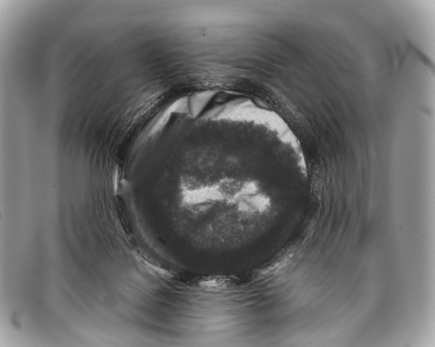 X0000097840076200804111115