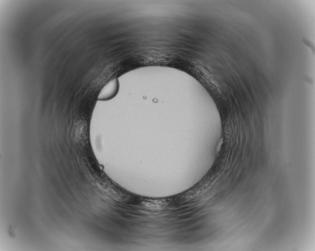 X0000097840079200804111115