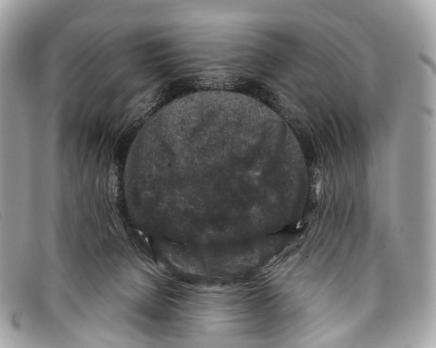 X0000097840080200804111115