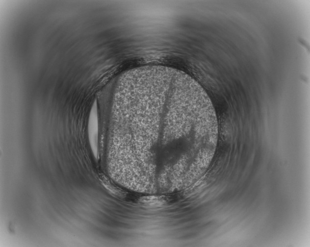 X0000097840082200804111115