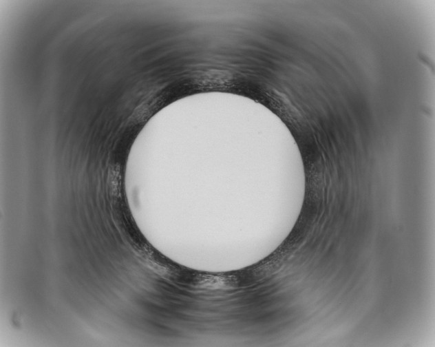 X0000097840083200804111115