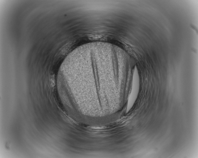 X0000097840085200804111115