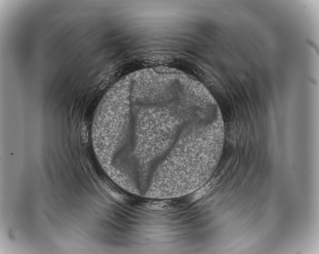 X0000097840086200804111115