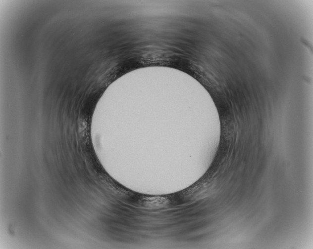 X0000097840087200804111115