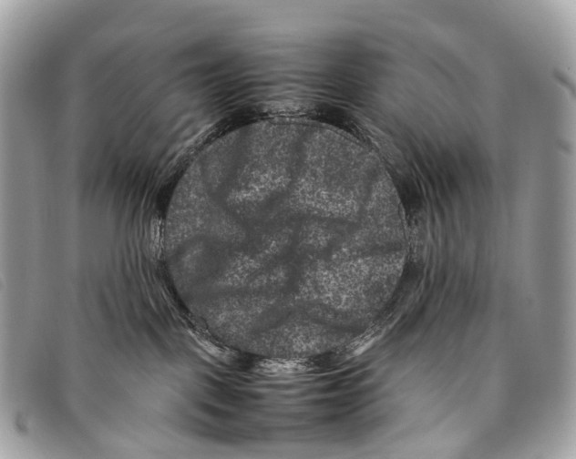 X0000097840093200804111115