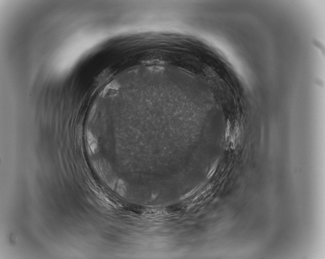 X0000097840099200804111114
