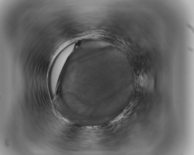 X0000097840100200804111114