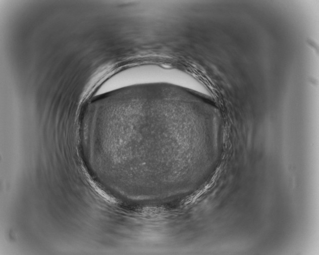 X0000097840101200804111114