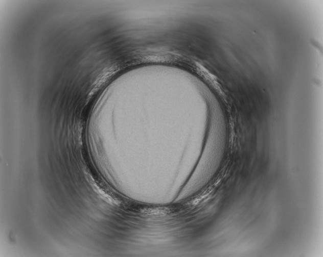 X0000097840106200804111114