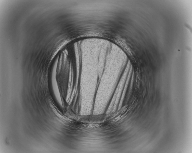 X0000097840108200804111114