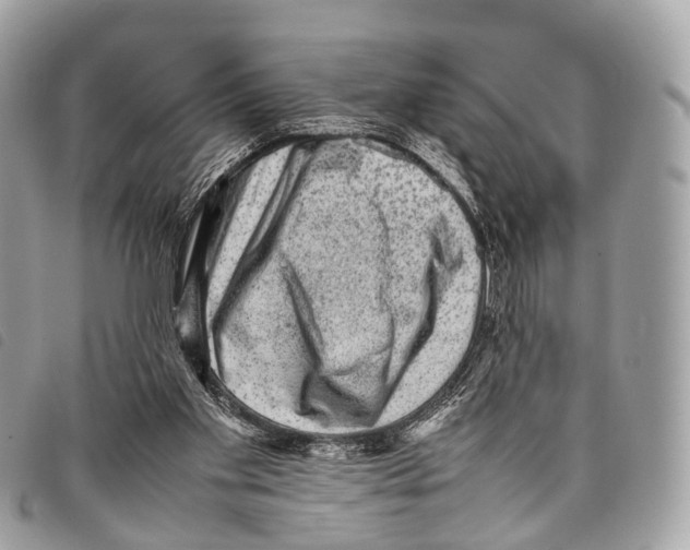 X0000097840109200804111114