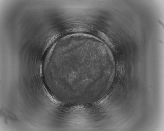 X0000097840110200804111114